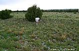 030523-2b.jpg (5783 bytes)