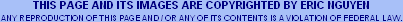 copyright.gif (2594 bytes)