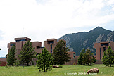 040608-3b.jpg (29234 bytes)