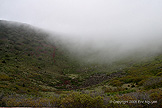 050525-5b.jpg (30710 bytes)